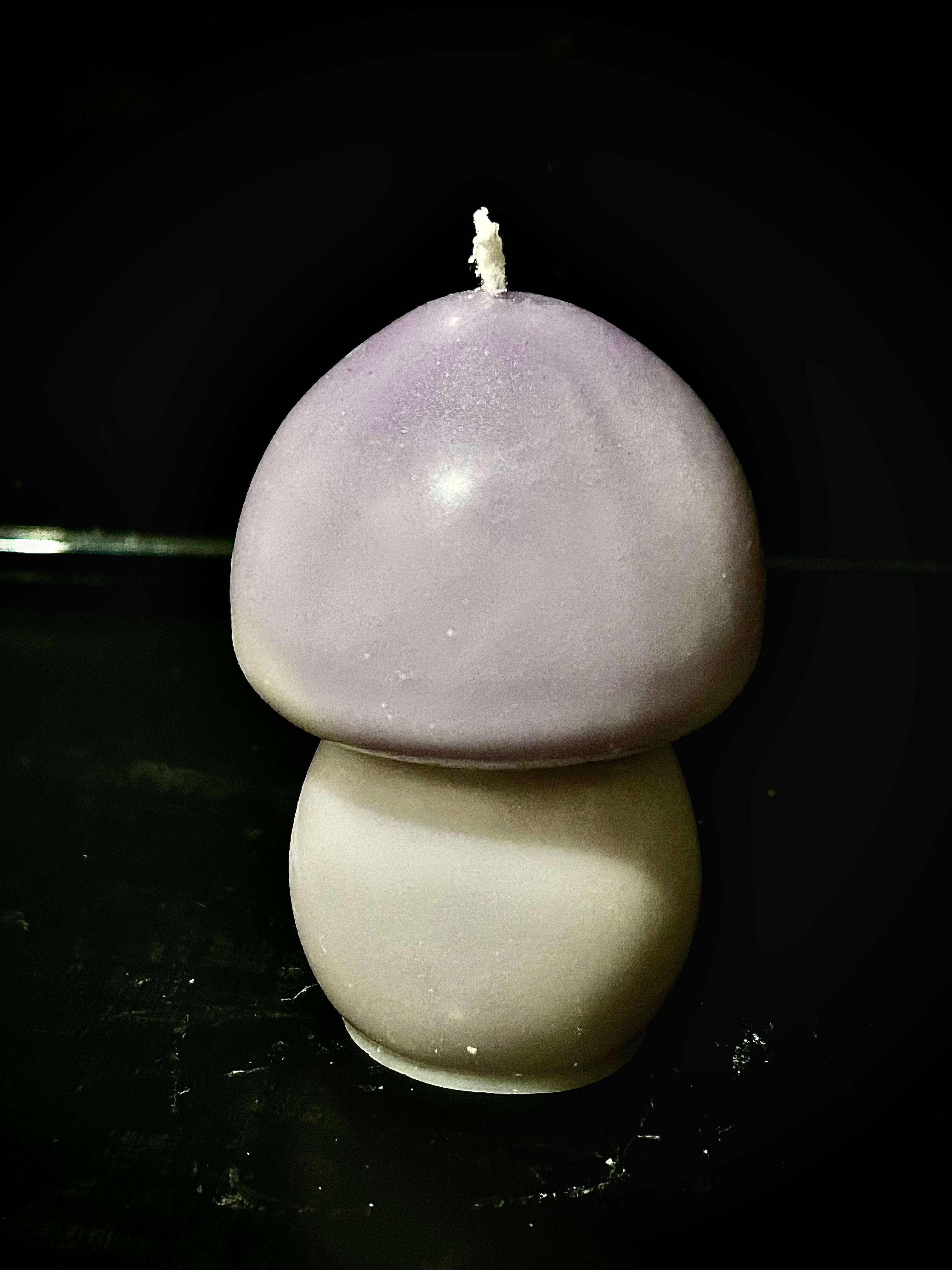 Medium Mushroom