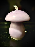 Small Mushroom