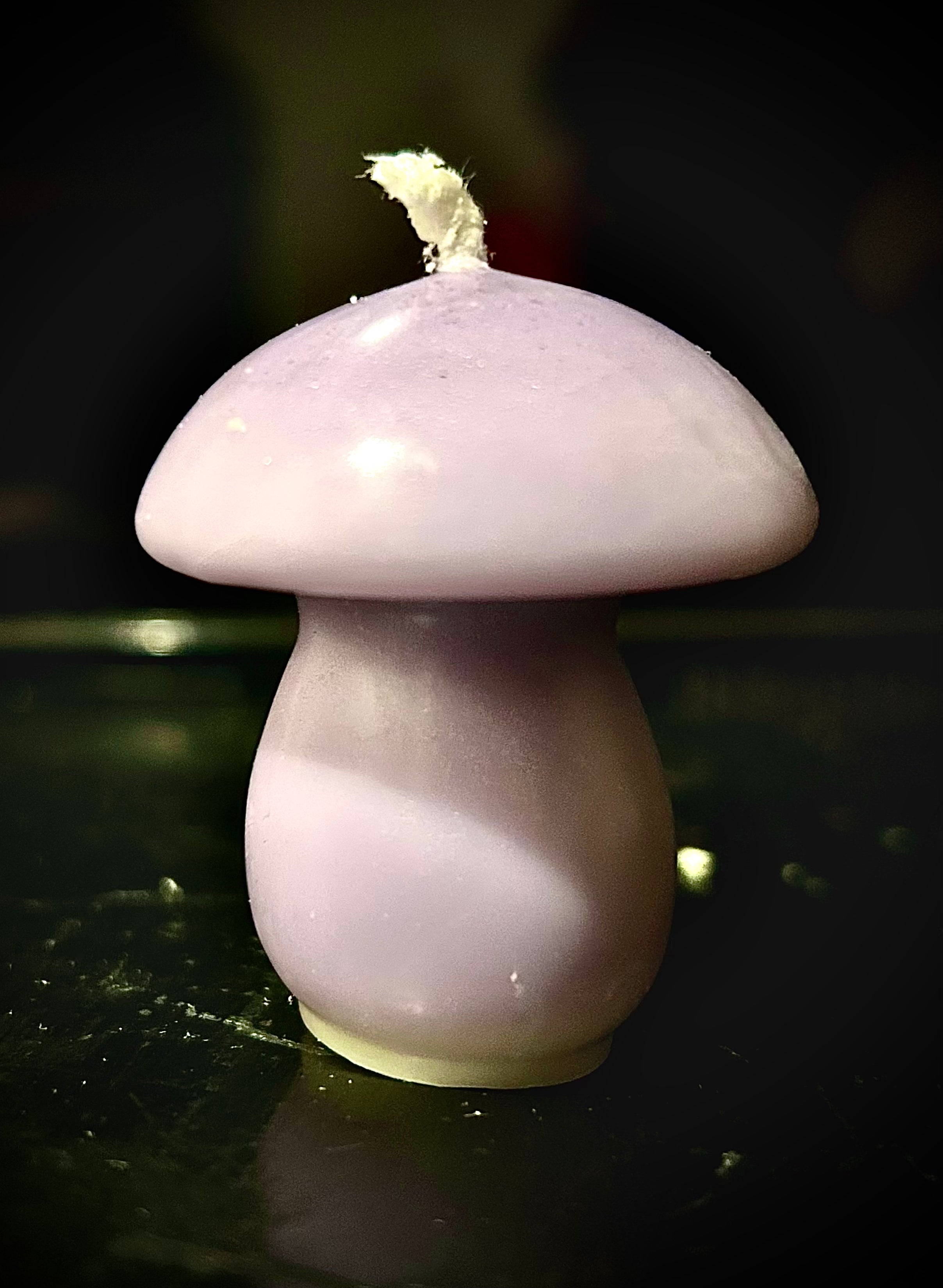 Small Mushroom