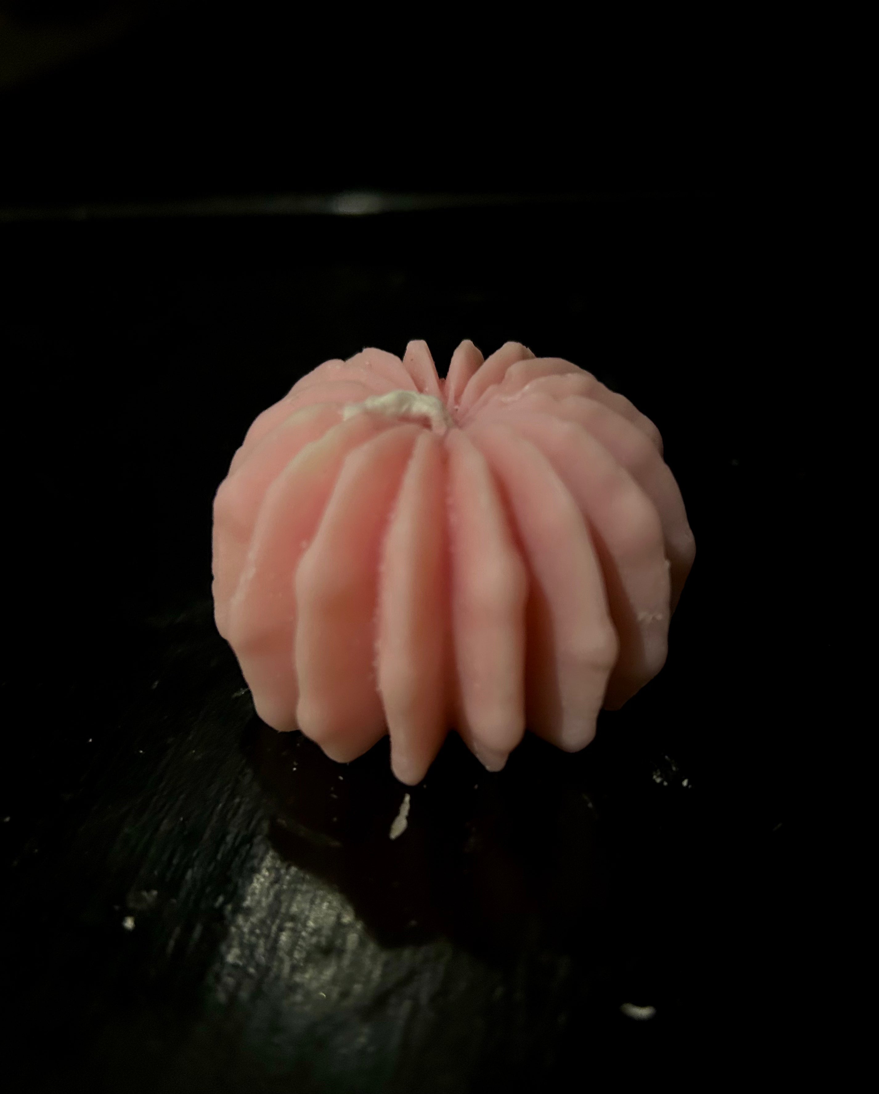 Succulent