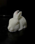 Magic Rabbit