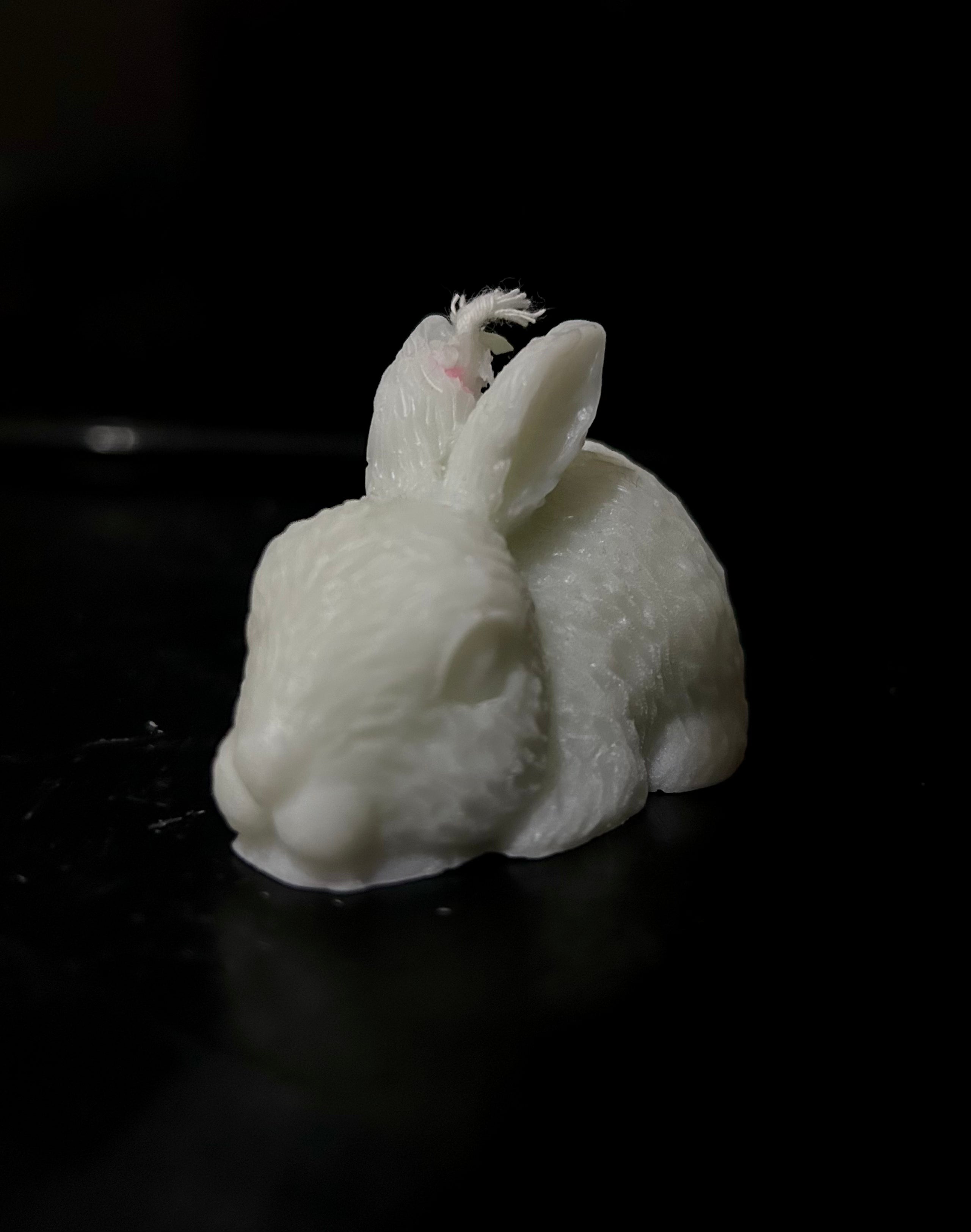 Magic Rabbit