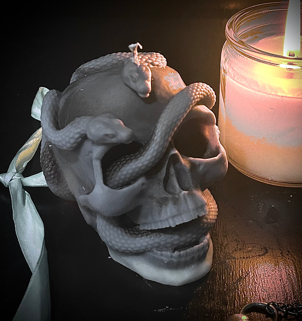 Double Serpent Skull