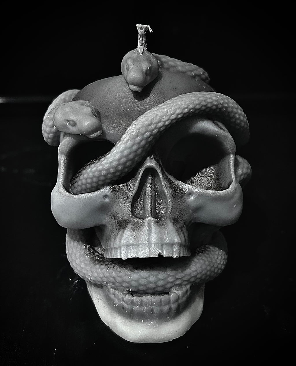 Double Serpent Skull