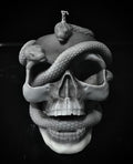 Double Serpent Skull