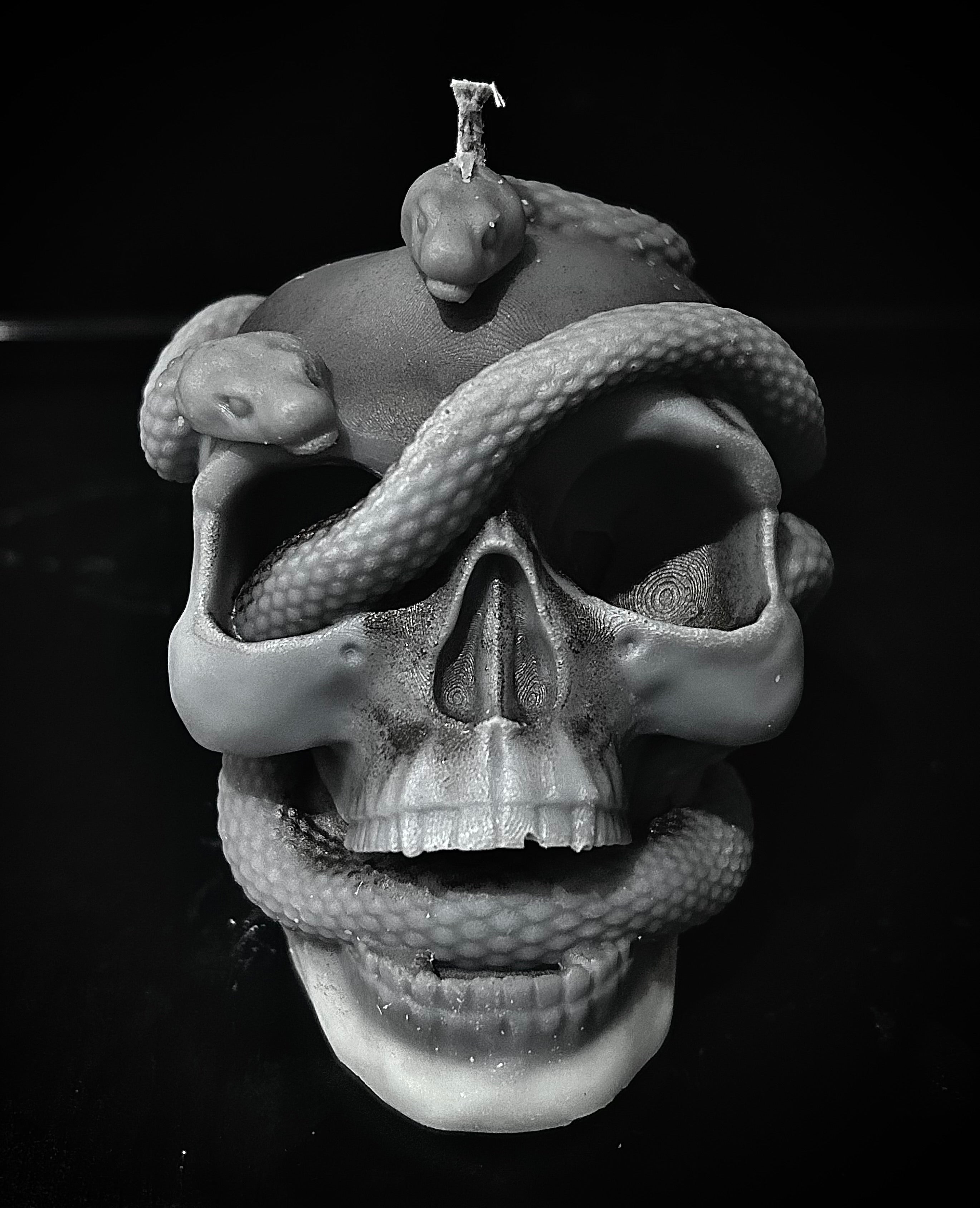 Double Serpent Skull