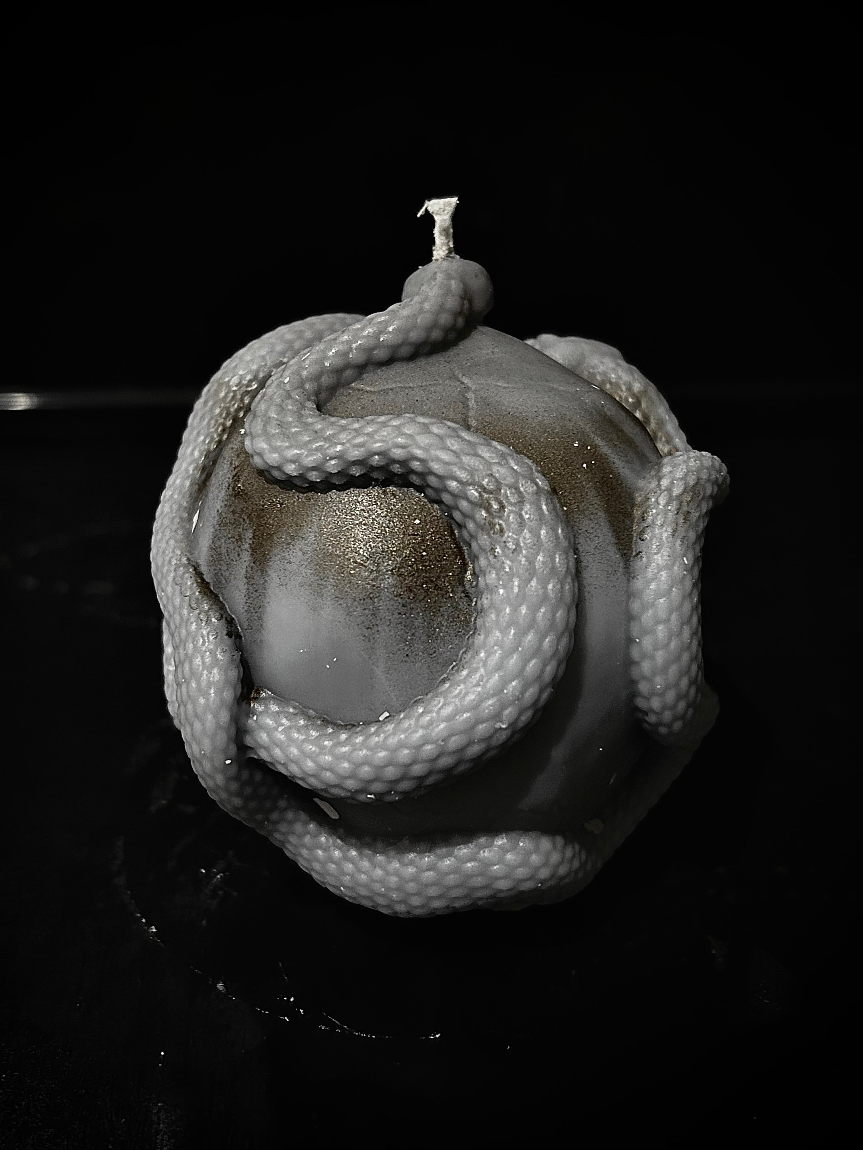 Double Serpent Skull
